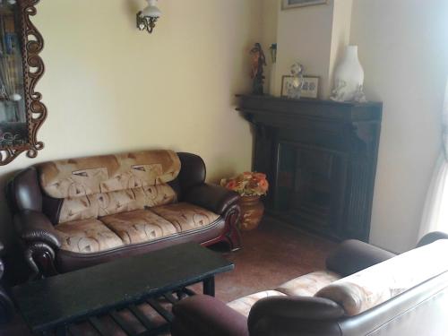 a living room with a couch and a fireplace at Ragith Villa in Nuwara Eliya