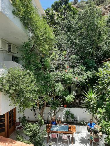 two people sitting at tables under a tree at Ostria in Agia Galini