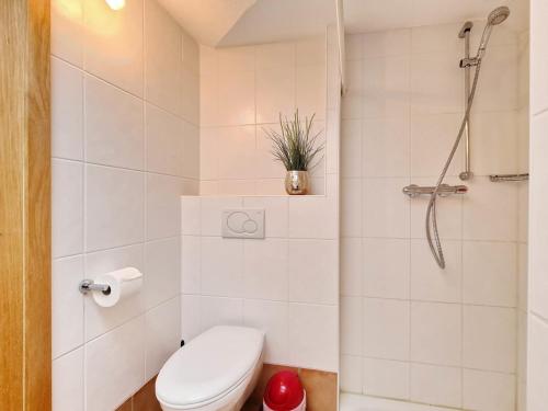 a bathroom with a toilet and a shower at MorgenSonne in Vadersdorf