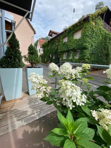 a balcony with white flowers and a building at Wunderschönes Studio für bis 2-3 Personen in Homburg