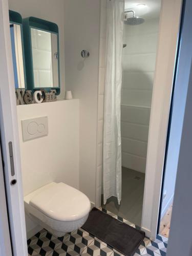 a bathroom with a toilet and a shower at Chez Moon in Tiffauges