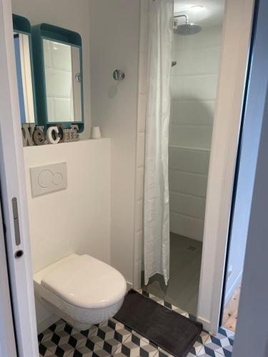 une salle de bain avec toilettes et douche dans l'établissement Chez Moon, à Tiffauges