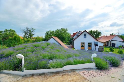 Billede fra billedgalleriet på Levendula Vendégház Lovas i Lovas