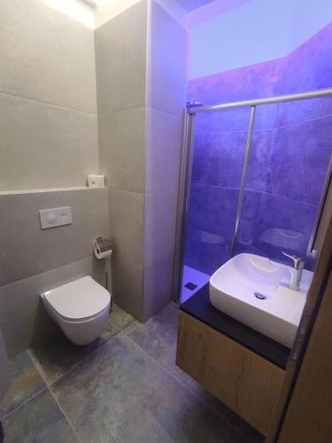a bathroom with a toilet and a sink and a shower at Agritur Leita in Tuenno