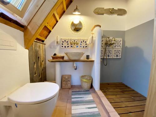 a bathroom with a white toilet and a sink at Viscri 32 - White Barn and Blue House in Viscri
