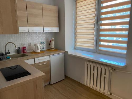 een keuken met een wastafel, een raam en een vaatwasser bij M&M apartamenty 2 in Zamość
