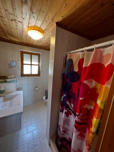 a bathroom with a shower curtain and a sink at Ferienwohnungen Sonnenseite Brombachsee in Absberg