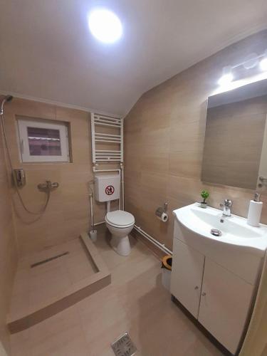 a bathroom with a toilet and a sink at Pensiunea Albert in Hîrşova