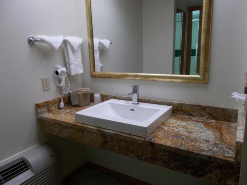 a bathroom with a sink, mirror, and towel rack at Fort Davidson Hotel in Pilot Knob