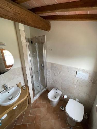 a bathroom with a toilet and a sink and a shower at Affittacamere Il Vecchio Mandorlo in Montemagno