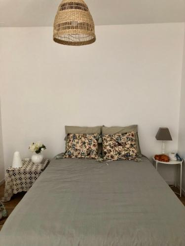 ein Schlafzimmer mit einem Bett mit einer grauen Decke in der Unterkunft Chambre particulière St Simon in Toulouse