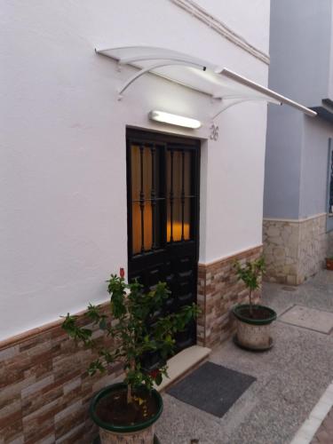 a front door of a white building with two potted plants at Casita La Playa in Málaga