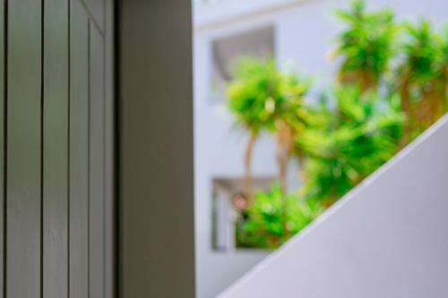 プリノスにあるInspira Boutique Hotel Thassos - Adults Onlyのギャラリーの写真