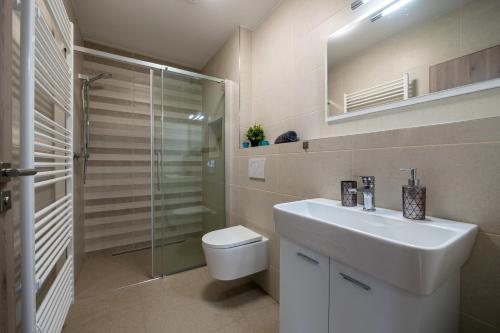a bathroom with a toilet and a sink and a shower at Penzion Kamenný dvůr in Třeboň
