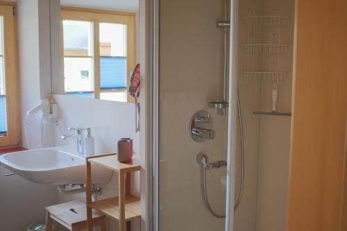 a bathroom with a sink and a shower at Marhof Pustertal in Anras