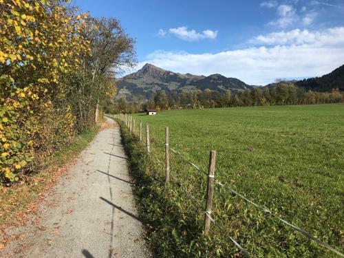 a dirt road in a field next to a fence at The Farm in Westendorf