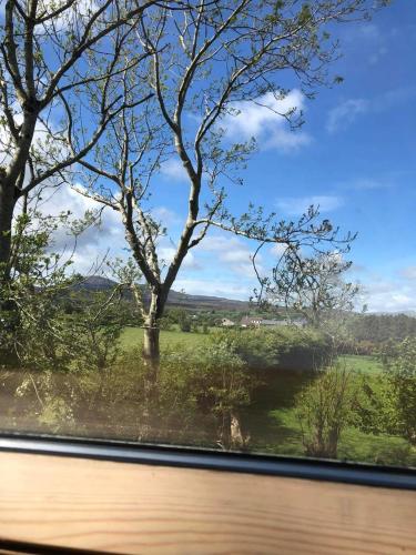 a view of a field from a train window at Ballyloskey Road in Carndonagh