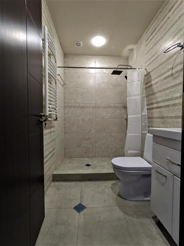a bathroom with a shower and a toilet and a sink at Milky Way in Stepantsminda