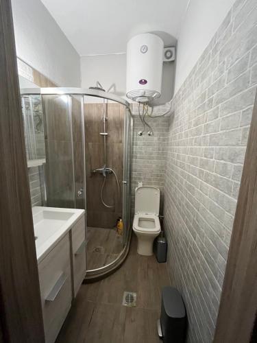 a bathroom with a shower and a toilet and a sink at Casita Una in Ofrínion