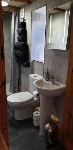a bathroom with a sink and a toilet and a mirror at Middle Woodbatch B&B in Bishops Castle