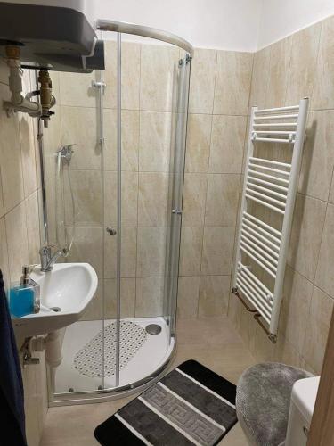 a bathroom with a shower and a sink at Ubytování U Pavly in Borovany