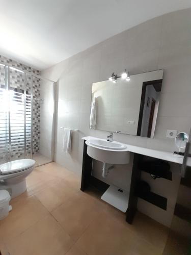 a bathroom with a sink and a toilet and a mirror at Can Beia Rural House Ibiza in Nuestra Señora de Jesus