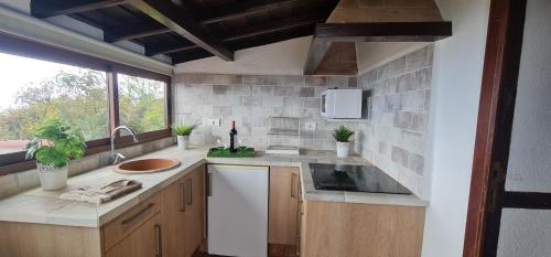 cocina con encimera, fregadero y ventana en Vivienda Vacacional Finca Monterrey Mazo, en Mazo