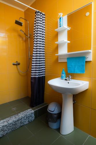 a bathroom with a sink and a shower at Pelso Apartman in Zamárdi