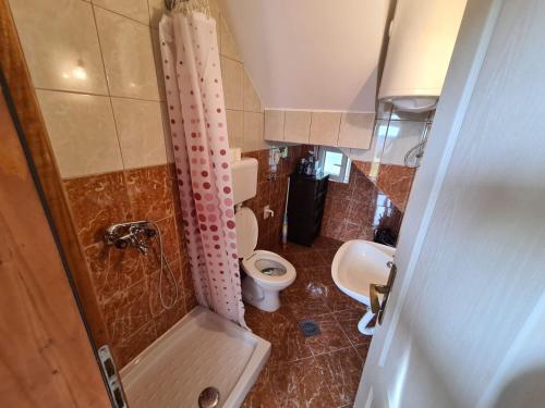 a small bathroom with a toilet and a shower at Vila Coka in Nova Varoš