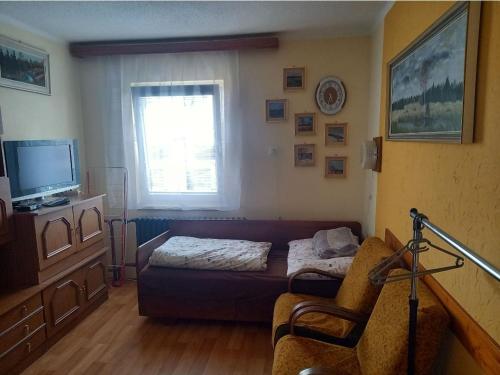 ein Wohnzimmer mit einem Sofa und einem TV in der Unterkunft Apartmán U jelena in Zvole