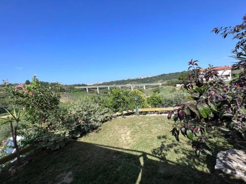 un jardín con árboles y plantas en un campo en Casanostra en San Vito Chietino