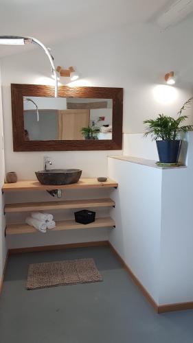 a bathroom with a sink and a mirror at LES JARDINS DU VENTOUX in Crillon-le-Brave