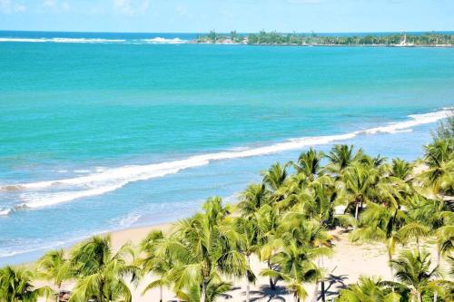 Beach Rental LUX Apt 3BR-2BTH+Sofabed+City & Ocean View