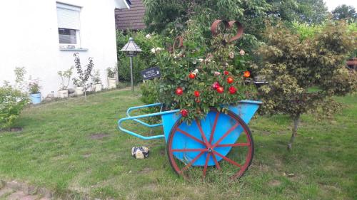 a wheelbarrow with a plant in it in a yard at Ferienbungalow FeWo Eutin Süsel Sierksdorf Strand Ostsee in Süsel