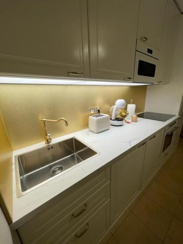 a kitchen counter with a sink and a microwave at Le Petit Versailles in Vernon