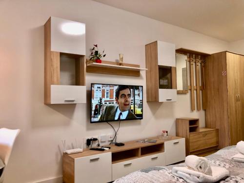Apartments Biroにあるテレビまたはエンターテインメントセンター