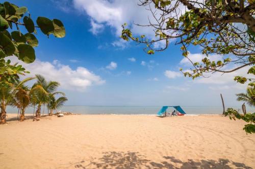Una playa de arena con palmeras y el océano. en Habitacion Playa Linda 102, en Coveñas