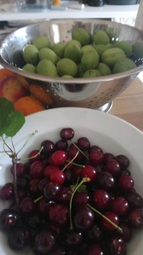 a bowl of cherries on a table with a bowl of fruit at Enoro in Pramanta