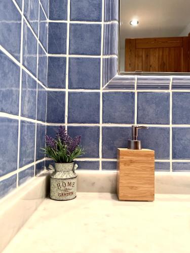 a sink with a potted plant sitting on a counter at Apartament Deluxe Espot - L'Amfitriona in Espot