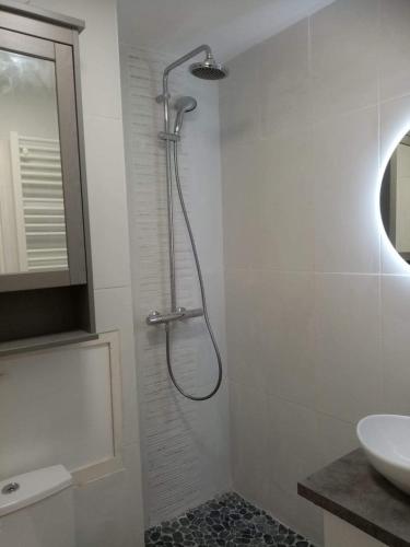 une salle de bain avec douche et lavabo dans l'établissement Tignes - Charmant studio pour 2-3 personnes proche des pistes, à Tignes