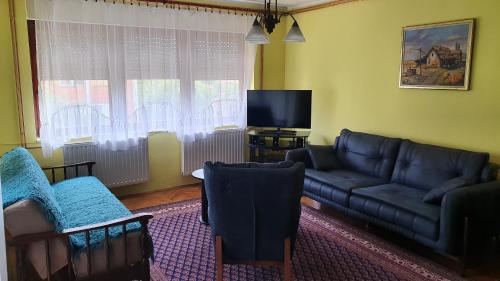 een woonkamer met een bank en een tv bij Apartment Roxana Vrdnik in Vrdnik