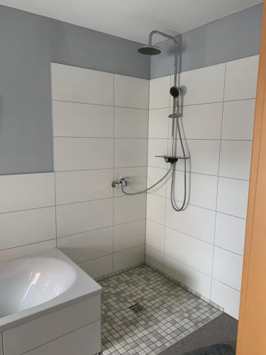 ein Bad mit einer Dusche und einem Waschbecken in der Unterkunft Ferienhaus Bülow in Thale