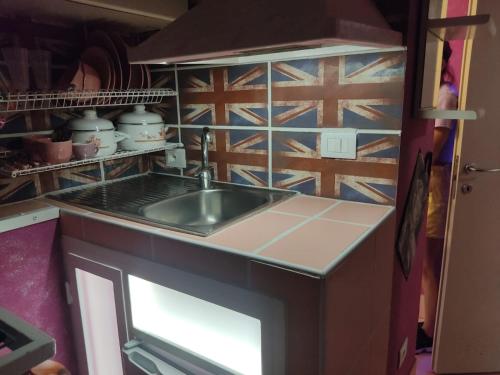 eine Küche mit einem Waschbecken und einer Wand mit Flaggen in der Unterkunft Elvis - Marilyn - Vasco Rossi - Airport Catania Center in Catania