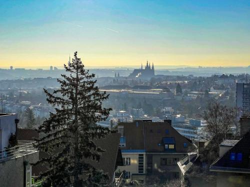 a view of a city with a tree in the foreground at View of Prague in Prague