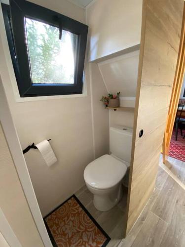 a small bathroom with a toilet and a window at Tiny house sur terrain boisé à 10 mn de la mer in Férel