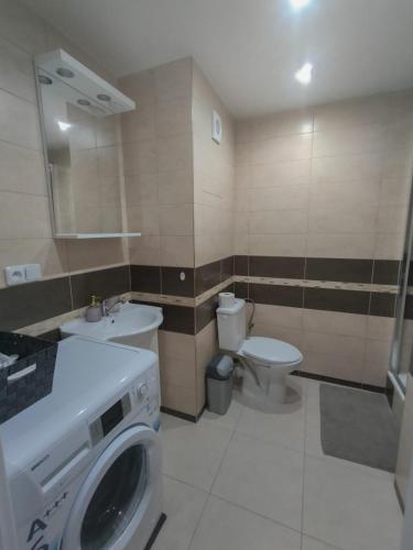a bathroom with a washing machine and a toilet at Apartmánek Protěž in Janske Lazne