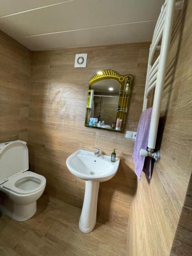 a bathroom with a toilet and a sink and a mirror at Isolated second floor for rent with separate kitchen and bathroom in Tbilisi City