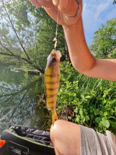 a person holding a fish on a string at Apartament Nova Kamienica 1 in Łagów