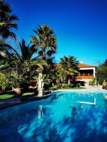 a swimming pool with a fountain and palm trees at Quinta do Vale Encantado "the Valley" - Santarém - Portugal in Calhariz