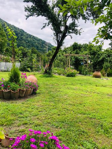 a garden with flowers in a yard at DreamLand Lagodekhi & Wine Cellar in Lagodekhi